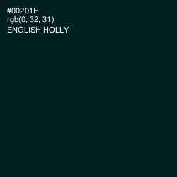 #00201F - English Holly Color Image
